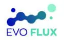 logo evoflux print plan de travail 1 002