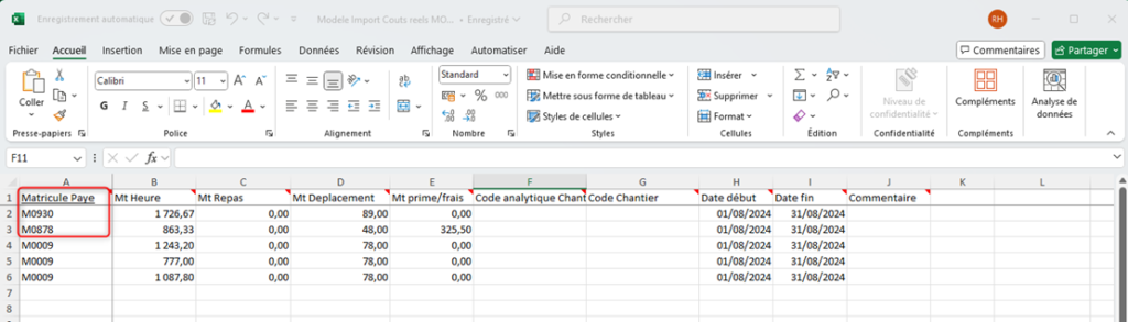Capture d'un fichier Excel d'importation des données paie