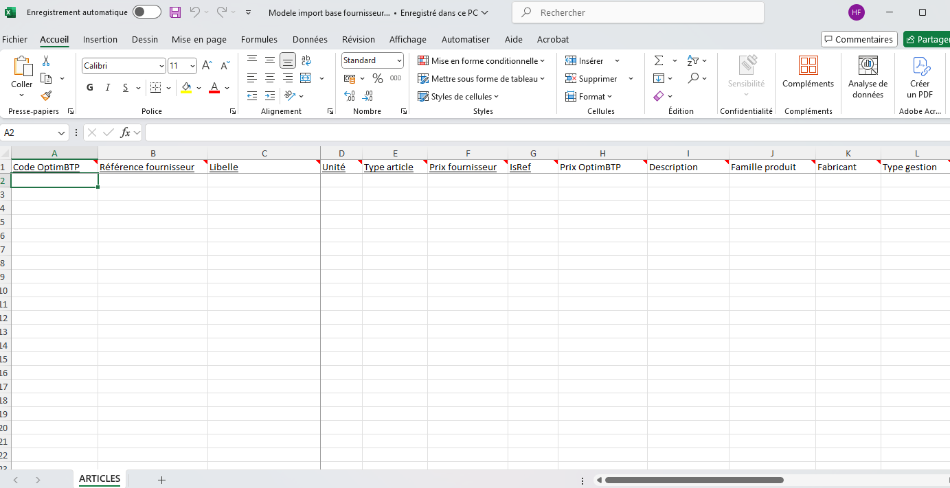 Capture du modèle d'importation dans Excel