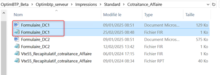 Capture d'écran de la sélection des deux fichiers docx et fir